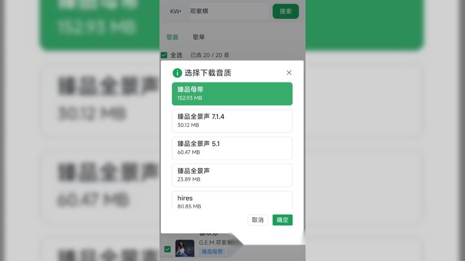 HotDownloader_1.2.2 全网音乐下载器