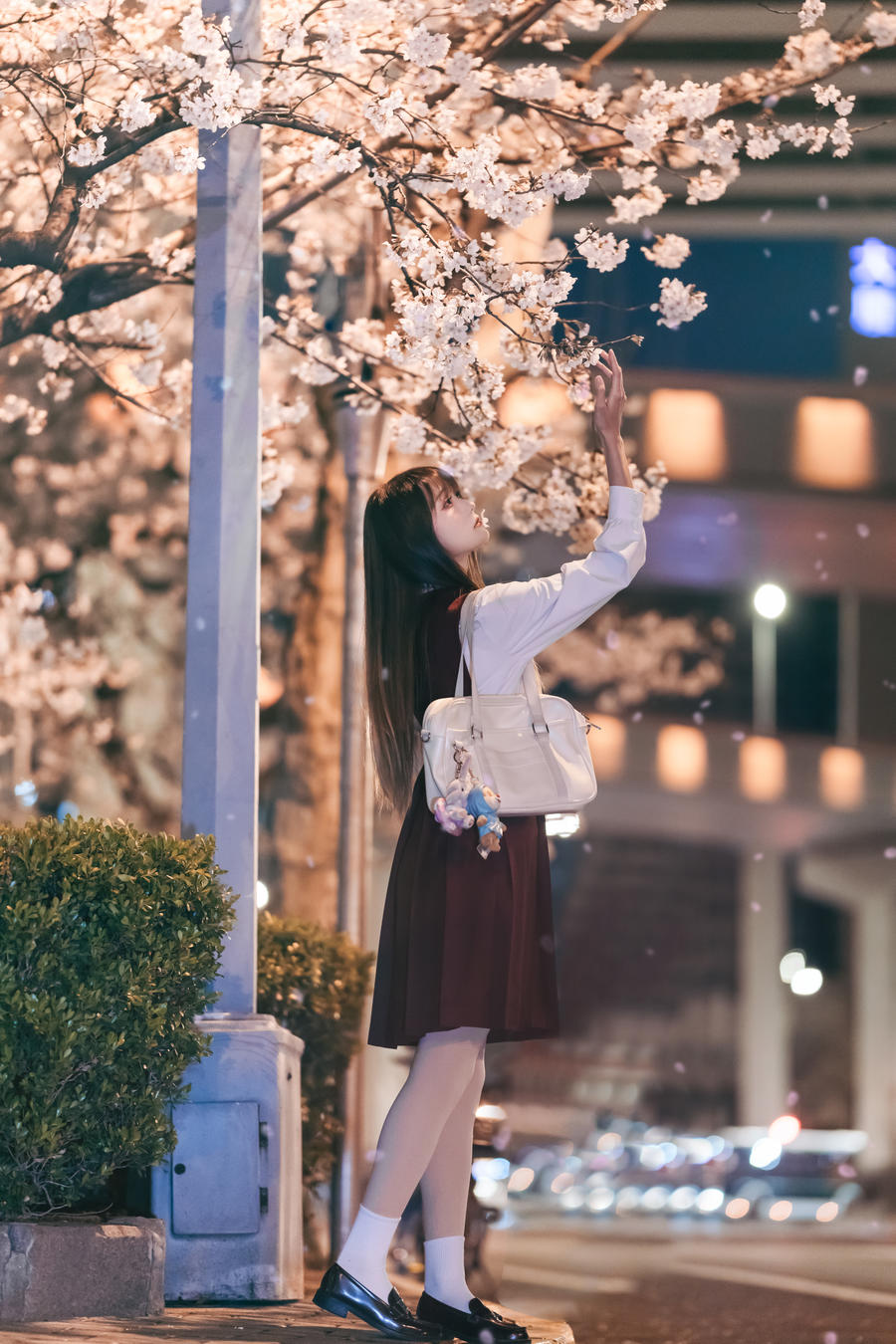 邂逅樱花雨_兔子Zzz不吃胡萝卜 – 写真美图作品在线欣赏